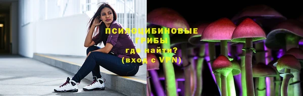 мяу мяу кристалл Няндома