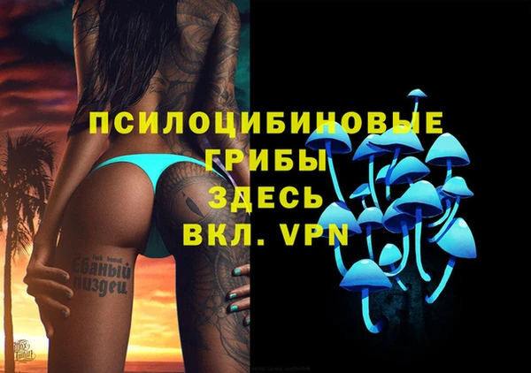 мяу мяу кристалл Няндома