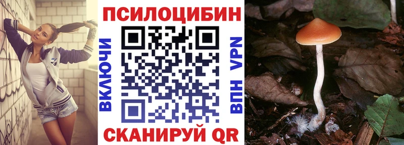 Галлюциногенные грибы Cubensis  Хотьково 